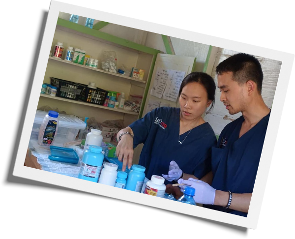 Two healthcare professionals in navy blue scrubs, possibly veterinarians, organize medical supplies on a table. Shelves with various bottles and containers are in the background. They appear focused on their tasks, wearing protective gloves. The image has a slight tilt and is bordered like a photograph.