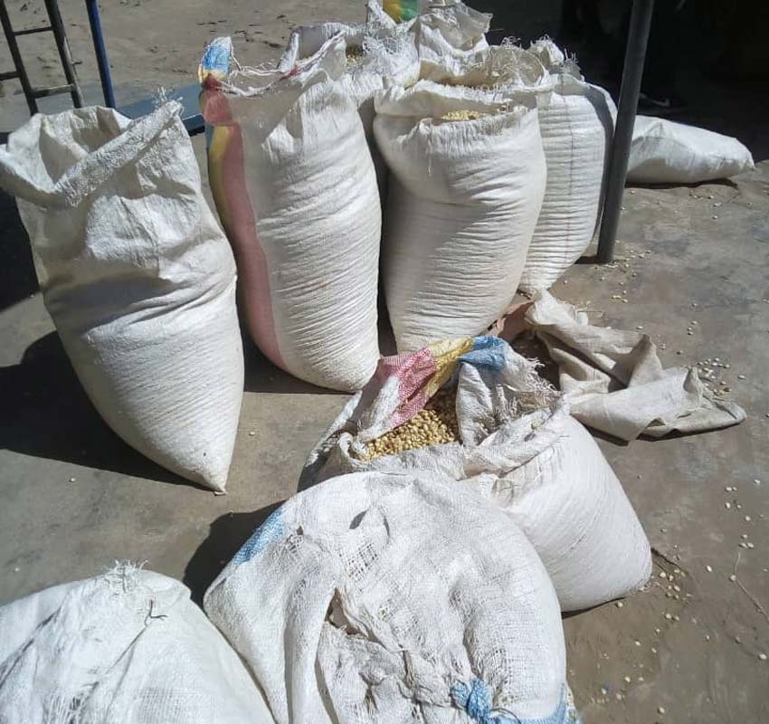 Several large white sacks, some open and some closed, are filled with grains and scattered on the ground. The sacks appear to be made of woven fabric and have been tied at the top. Some grains have spilled out onto the ground around the bags, symbolizing a charitable donation ready for distribution.