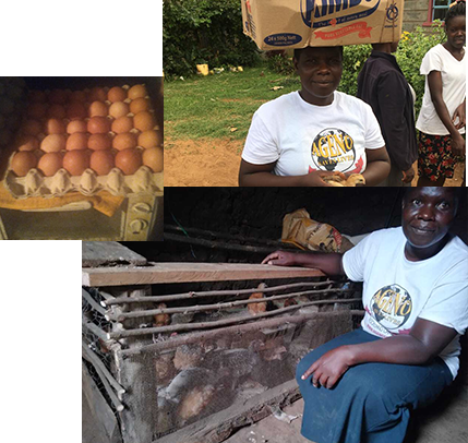 A collage of three images: a woman carrying a box on her head, a close-up of eggs in a carton, and the same woman sitting beside a chicken cage. The woman wears a white shirt with a charity logo, and there is greenery in the background of the first image.