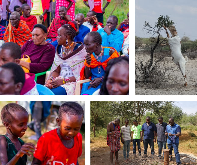 A collage showing four images: Top left - A group of people sitting outdoors, some in traditional attire. Bottom left - Two children smiling and playing. Top right - A goat reaching for leaves on a tree. Bottom right - Five men standing in a rural area, examining plants and discussing water conservation.